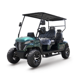 AIGO Golf Cart